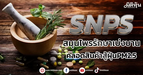 SNPS รัฐหนุนใช้สมุนไพรรักษาเบ่งบาน คลอดสินค้าสู้ฝุ่น PM2.5